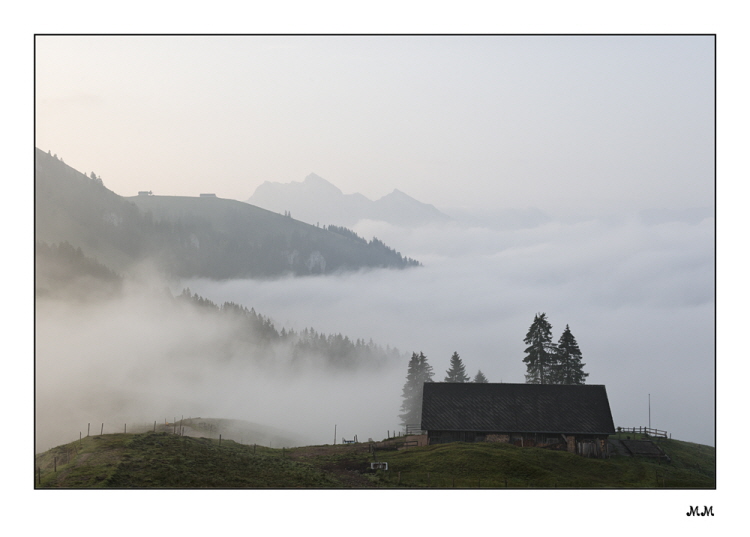 Alp Egg auf der Sattelegg