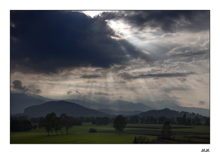 Bannriet im St.Galler Rheintal