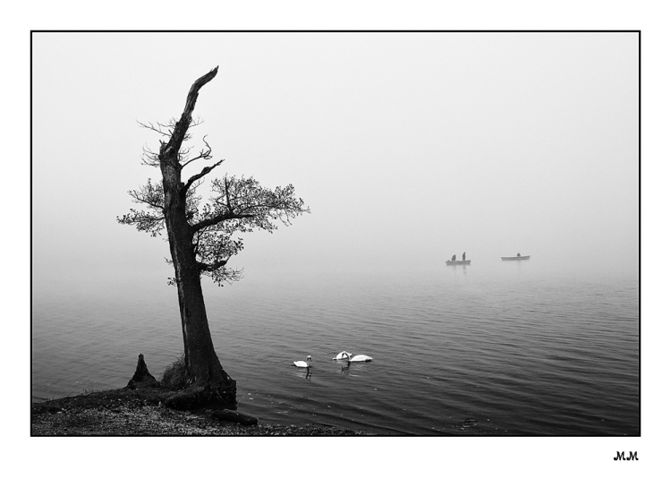 Greifensee