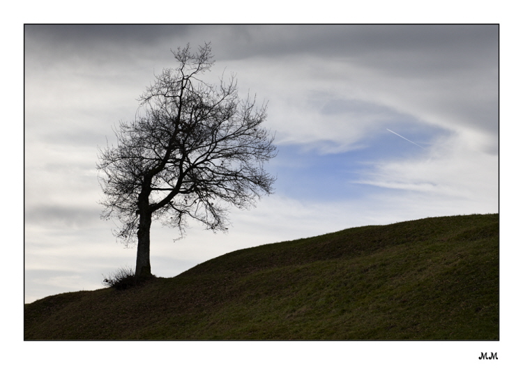 Ober Waldweg am Sihlsee