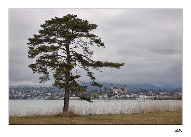 Rapperswil