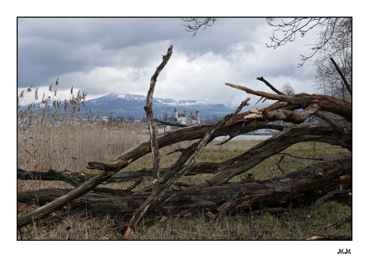 Schloss Rapperswil