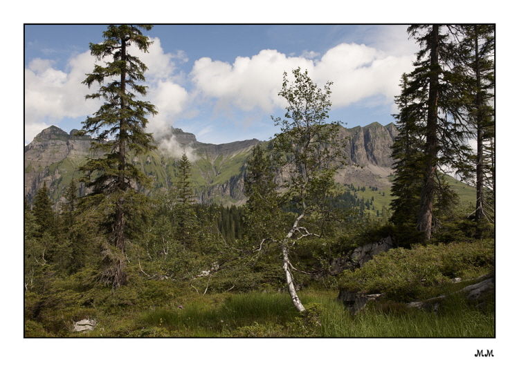 Pragelpass